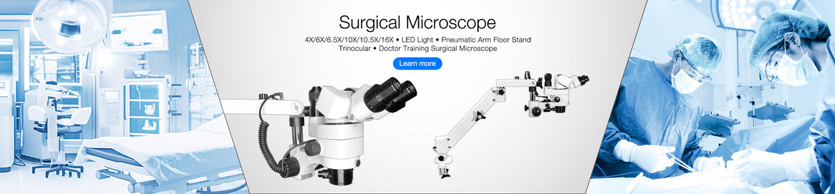 View Solutions