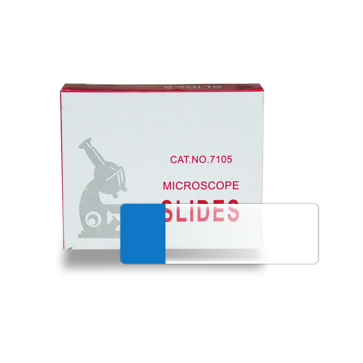 Microscope Slide Bug Microscope Slides for Microscopes | View Solutions Inc.
