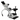 8X-50X Widefield Zoom Stereo Microscope, Binocular, Single Arm Boom Stand + Halogen Fiber Optic Illuminator, SKU SZ02030422, three quarter front view