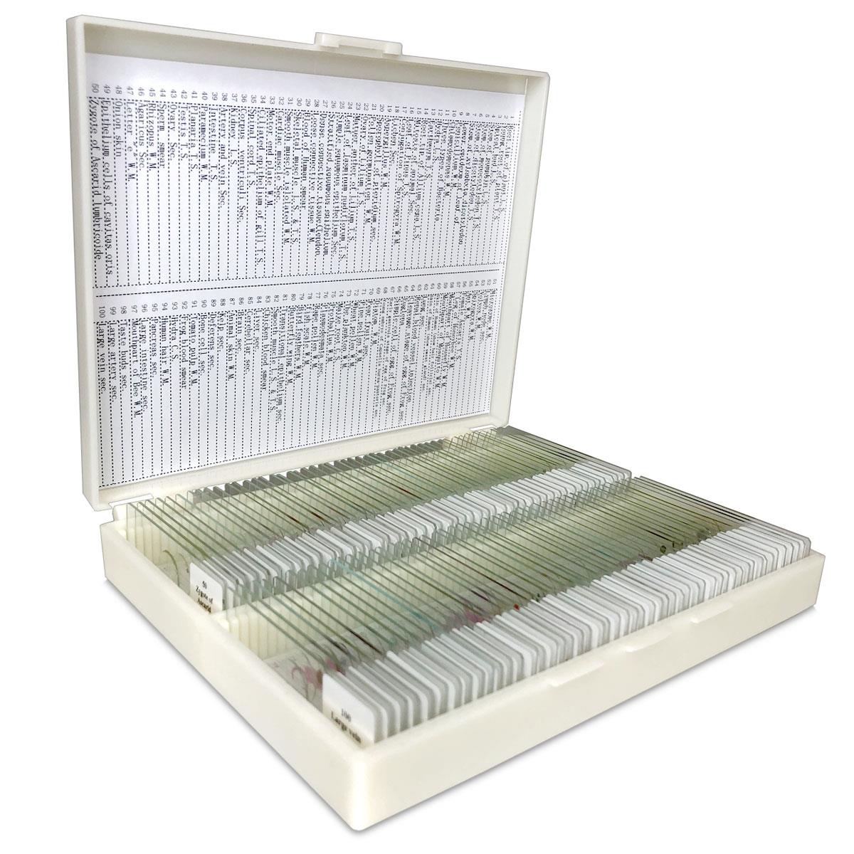 Microscope Slides for Microscopes | View Solutions Inc.