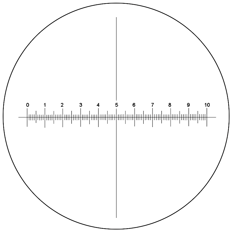 Rectile File Microscope Reticle and Micrometer for Microscopes | View Solutions Inc.