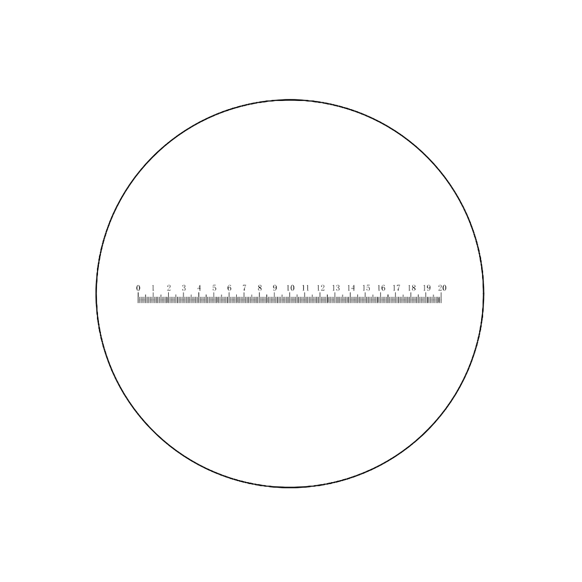 Rectile File Microscope Reticle and Micrometer for Microscopes | View Solutions Inc.