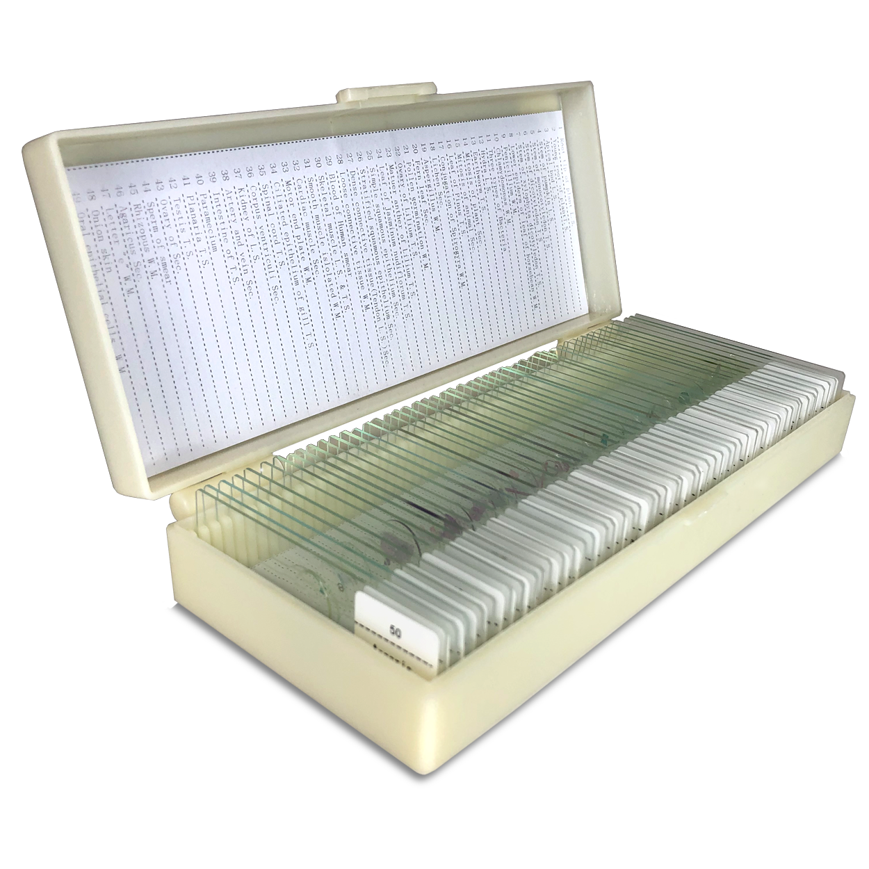 Microscope Slides for Microscopes | View Solutions Inc.