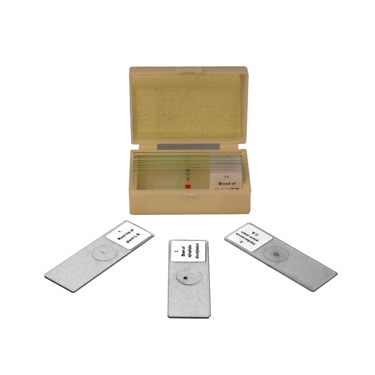 Microscope Slides for Microscopes | View Solutions Inc.