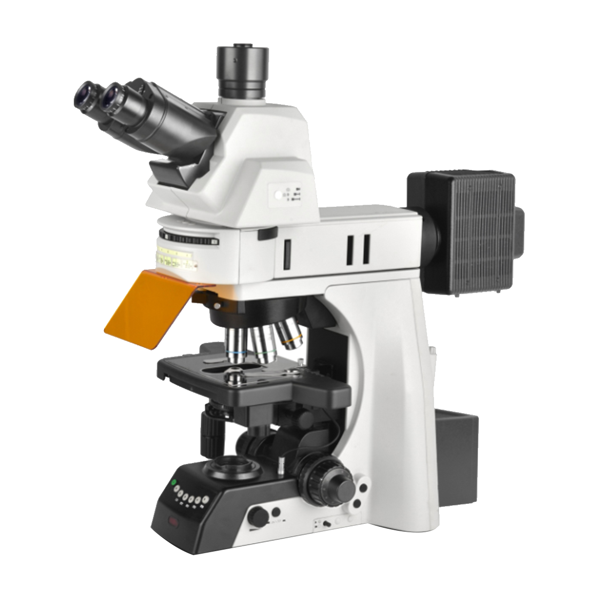 Microscope Florida 40-1000X Fluorescence Microscope | View Solutions Inc.