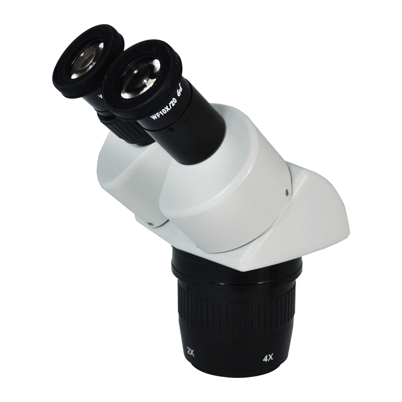 40x Bench Microscope 20X/40X Microscope Body for Microscopes | View Solutions Inc.