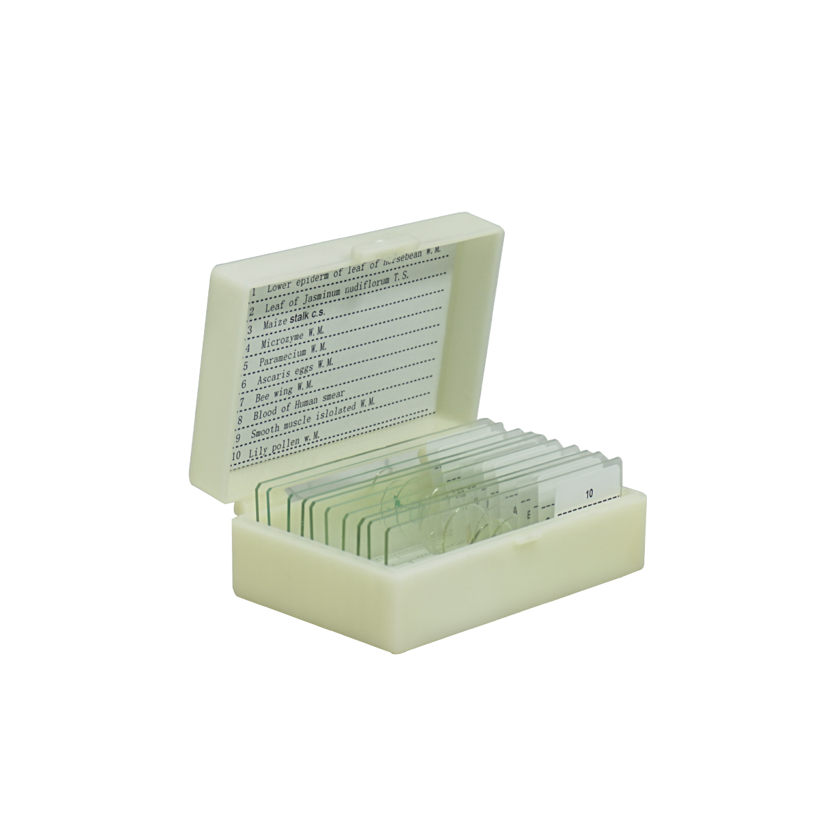 Microscope Slides for Microscopes | View Solutions Inc.