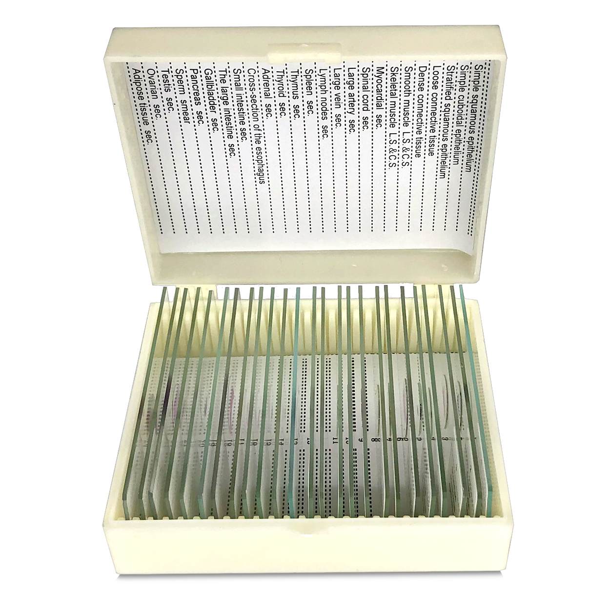 Microscope Slides for Microscopes | View Solutions Inc.