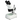 20X/40X Widefield Stereo Microscope, Binocular, Post Stand, LED Top and Bottom Light, Bright Field (Fixed Head), SKU FS12110327, three quarter front view